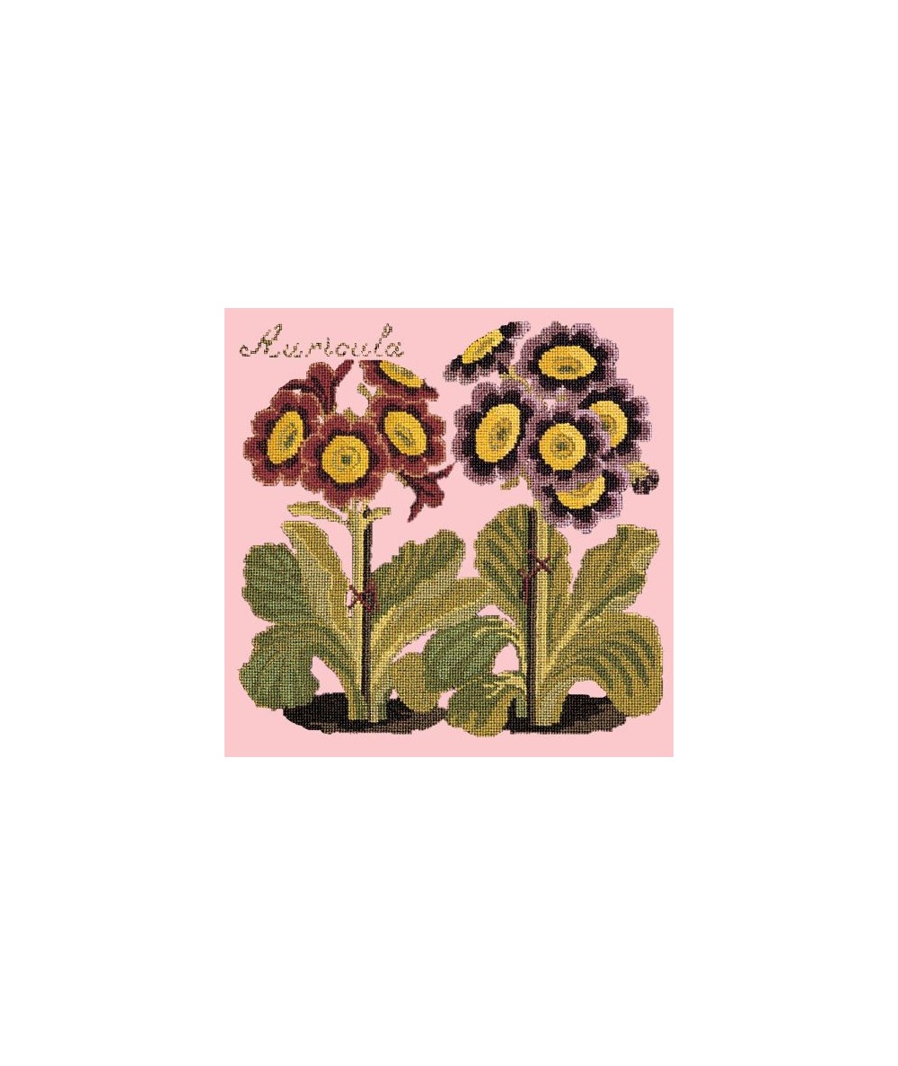 Elizabeth Bradley, Botanical Garden, AURICULA - 16x16 pollici Elizabeth Bradley - 2