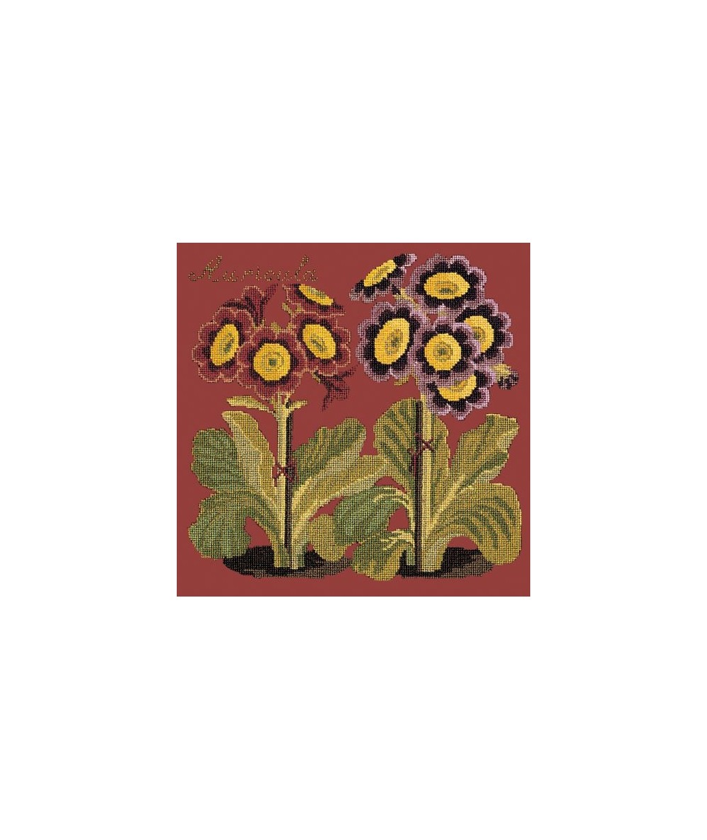 Elizabeth Bradley, Botanical Garden, AURICULA - 16x16 pollici Elizabeth Bradley - 5