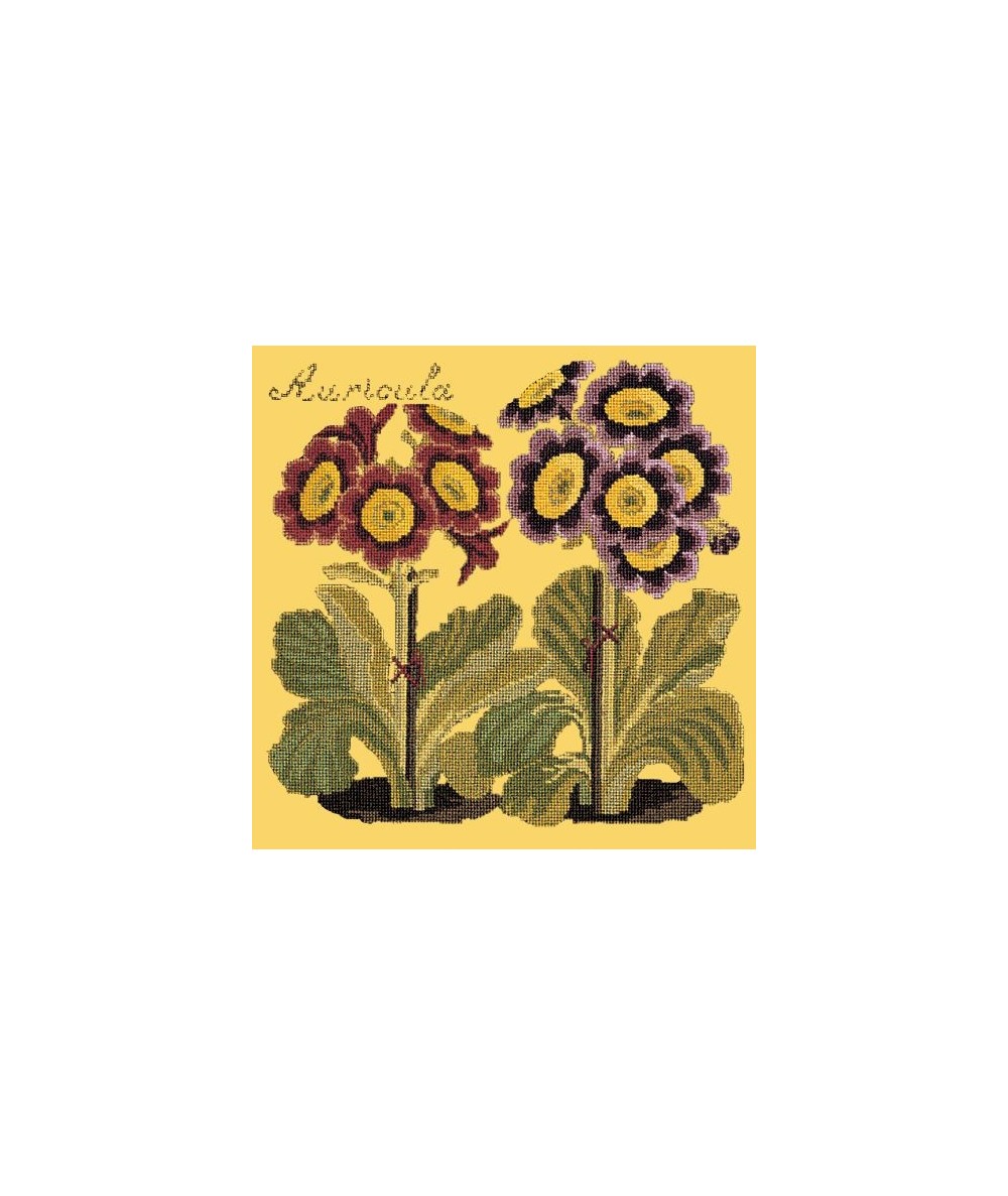 Elizabeth Bradley, Botanical Garden, AURICULA - 16x16 pollici Elizabeth Bradley - 11