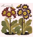 Elizabeth Bradley, Botanical Garden, AURICULA - 16x16 pollici Elizabeth Bradley - 12
