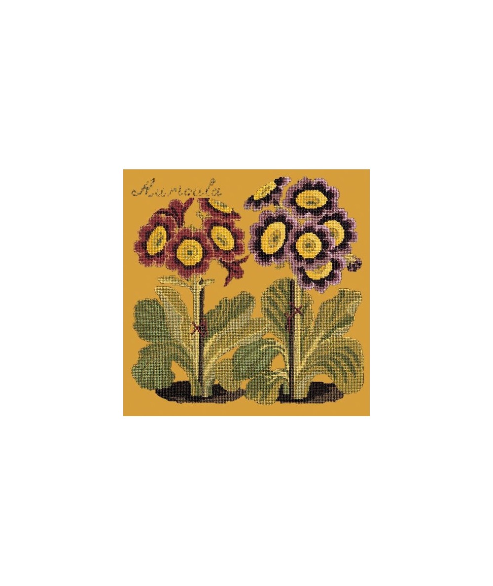 Elizabeth Bradley, Botanical Garden, AURICULA - 16x16 pollici Elizabeth Bradley - 13