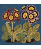 Elizabeth Bradley, Botanical Garden, AURICULA - 16x16 pollici Elizabeth Bradley - 16