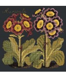 Elizabeth Bradley, Botanical Garden, AURICULA - 16x16 pollici Elizabeth Bradley - 18