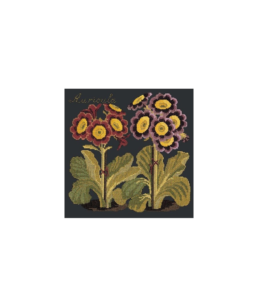 Elizabeth Bradley, Botanical Garden, AURICULA - 16x16 pollici Elizabeth Bradley - 18
