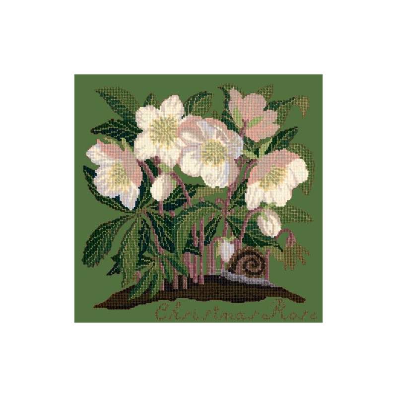 Elizabeth Bradley, Botanical Garden, CHRISTMAS ROSE - 16x16 pollici Elizabeth Bradley - 6