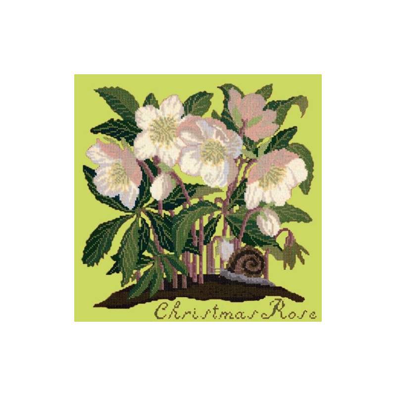 Elizabeth Bradley, Botanical Garden, CHRISTMAS ROSE - 16x16 pollici Elizabeth Bradley - 8