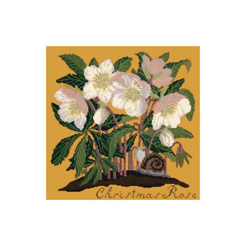 Elizabeth Bradley, Botanical Garden, CHRISTMAS ROSE - 16x16 pollici Elizabeth Bradley - 13
