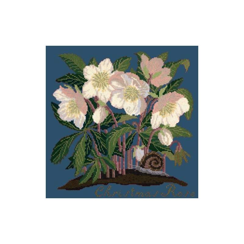 Elizabeth Bradley, Botanical Garden, CHRISTMAS ROSE - 16x16 pollici Elizabeth Bradley - 16