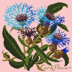 Elizabeth Bradley, Botanical Garden, CORNFLOWER - 16x16 pollici Elizabeth Bradley - 2