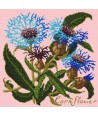 Elizabeth Bradley, Botanical Garden, CORNFLOWER - 16x16 pollici Elizabeth Bradley - 2