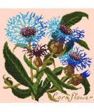 Elizabeth Bradley, Botanical Garden, CORNFLOWER - 16x16 pollici Elizabeth Bradley - 3
