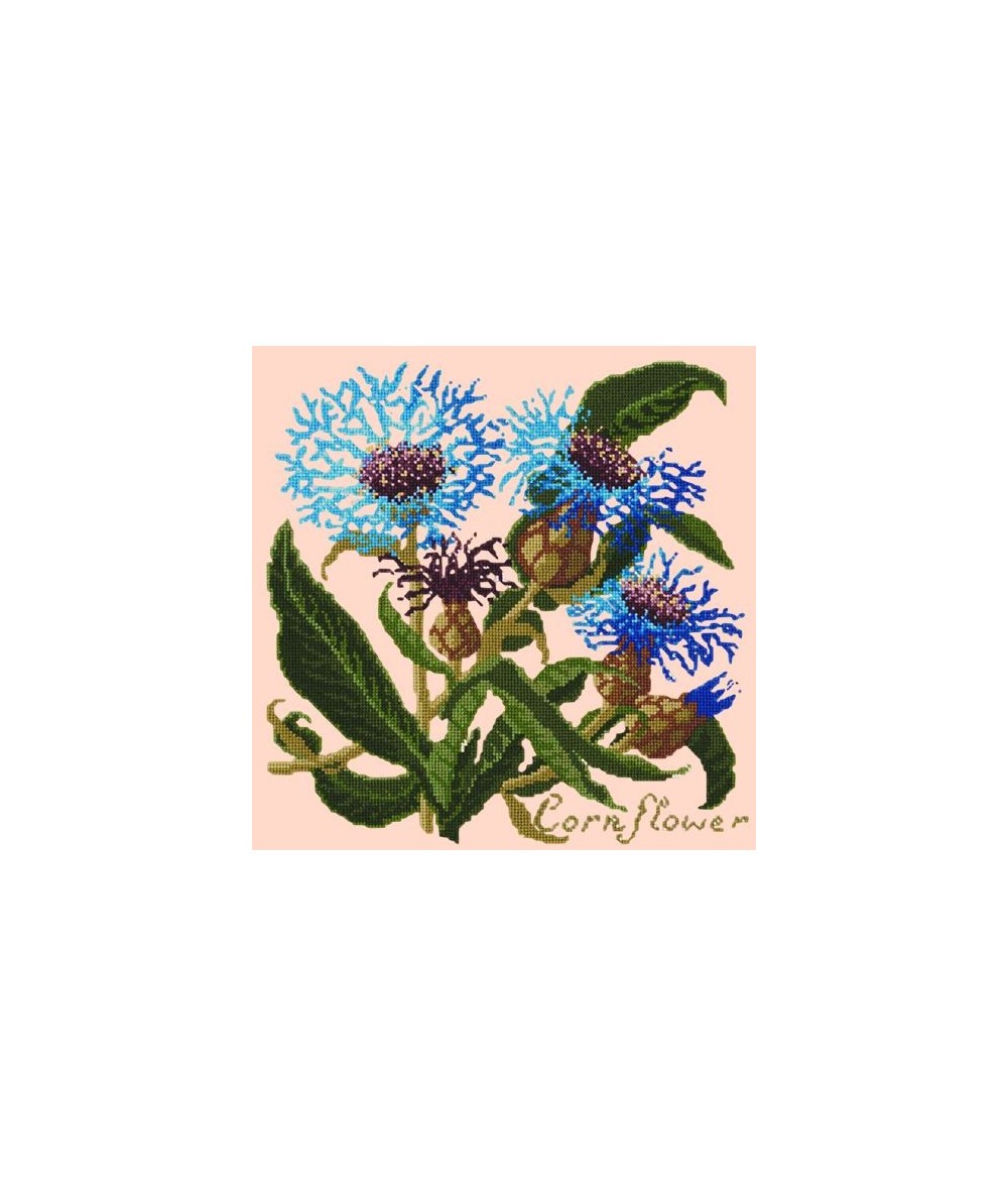 Elizabeth Bradley, Botanical Garden, CORNFLOWER - 16x16 pollici Elizabeth Bradley - 3