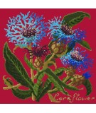 Elizabeth Bradley, Botanical Garden, CORNFLOWER - 16x16 pollici Elizabeth Bradley - 4