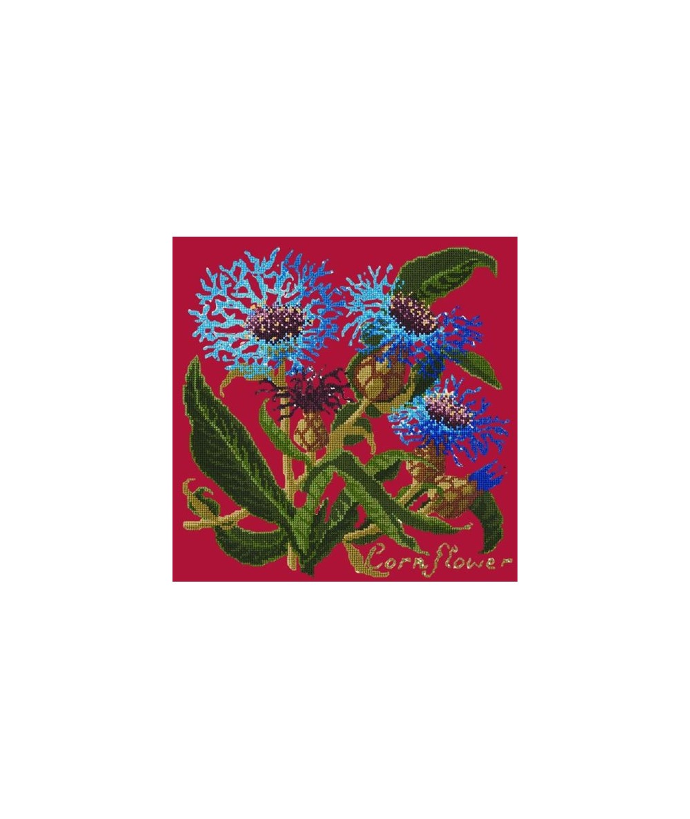 Elizabeth Bradley, Botanical Garden, CORNFLOWER - 16x16 pollici Elizabeth Bradley - 4