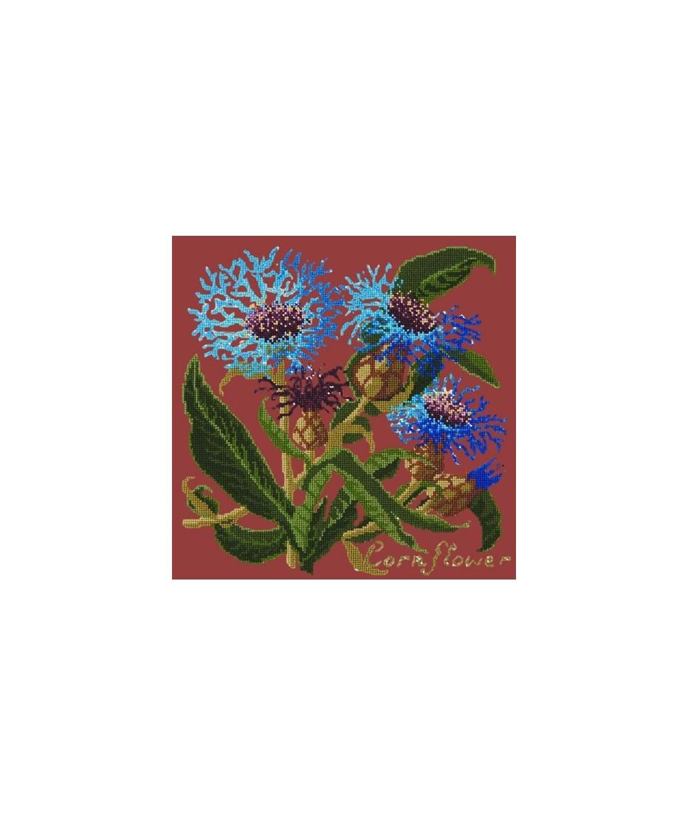 Elizabeth Bradley, Botanical Garden, CORNFLOWER - 16x16 pollici Elizabeth Bradley - 5