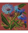 Elizabeth Bradley, Botanical Garden, CORNFLOWER - 16x16 pollici Elizabeth Bradley - 5
