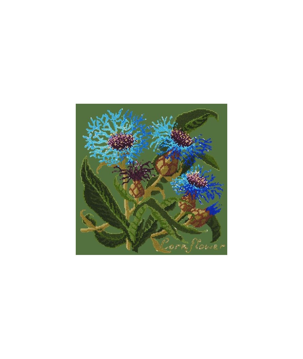 Elizabeth Bradley, Botanical Garden, CORNFLOWER - 16x16 pollici Elizabeth Bradley - 6