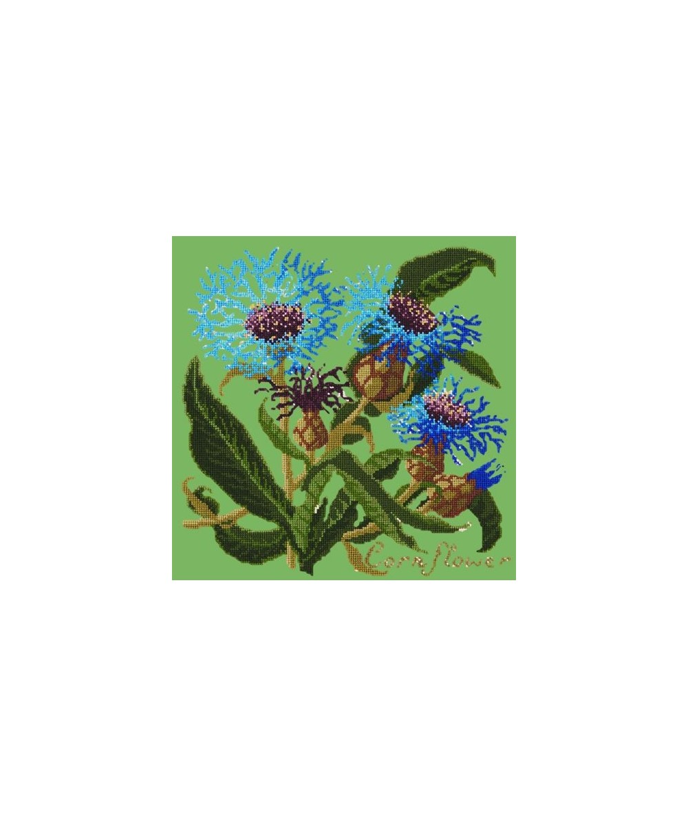 Elizabeth Bradley, Botanical Garden, CORNFLOWER - 16x16 pollici Elizabeth Bradley - 7