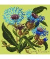 Elizabeth Bradley, Botanical Garden, CORNFLOWER - 16x16 pollici Elizabeth Bradley - 8
