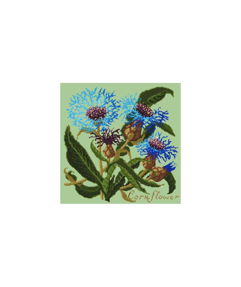 Elizabeth Bradley, Botanical Garden, CORNFLOWER - 16x16 pollici Elizabeth Bradley - 9