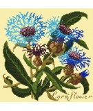 Elizabeth Bradley, Botanical Garden, CORNFLOWER - 16x16 pollici Elizabeth Bradley - 10