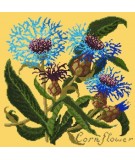 Elizabeth Bradley, Botanical Garden, CORNFLOWER - 16x16 pollici Elizabeth Bradley - 11