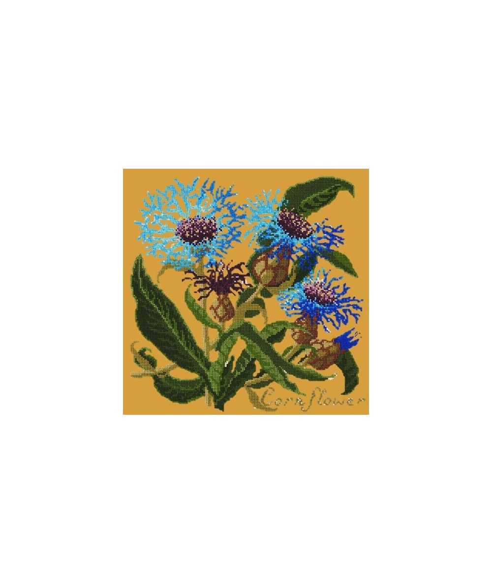 Elizabeth Bradley, Botanical Garden, CORNFLOWER - 16x16 pollici Elizabeth Bradley - 13