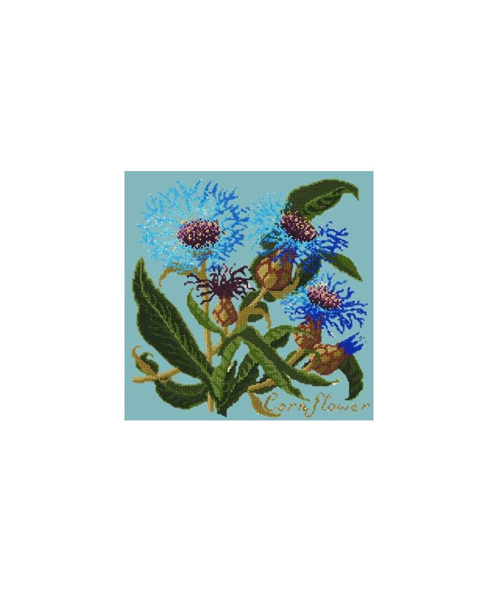 Elizabeth Bradley, Botanical Garden, CORNFLOWER - 16x16 pollici Elizabeth Bradley - 15
