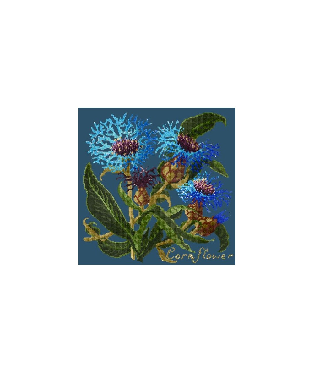 Elizabeth Bradley, Botanical Garden, CORNFLOWER - 16x16 pollici Elizabeth Bradley - 16