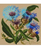 Elizabeth Bradley, Botanical Garden, CORNFLOWER - 16x16 pollici Elizabeth Bradley - 17