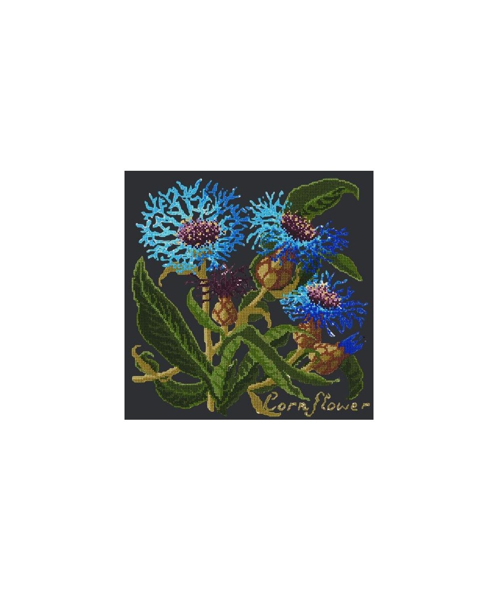 Elizabeth Bradley, Botanical Garden, CORNFLOWER - 16x16 pollici Elizabeth Bradley - 18