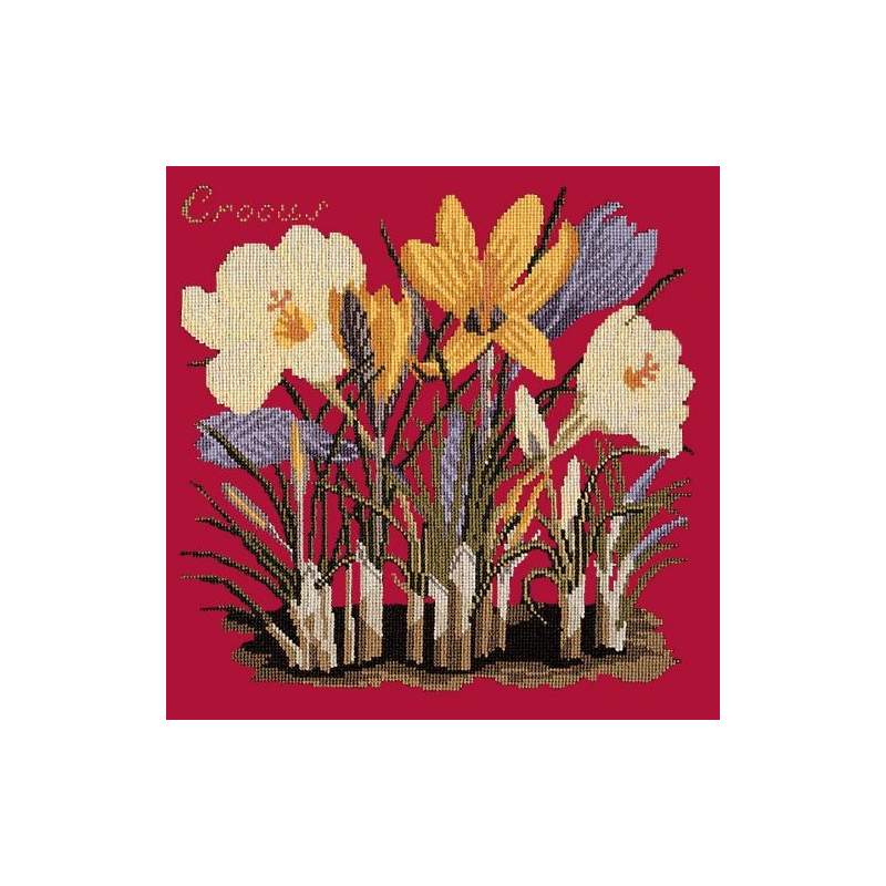 Elizabeth Bradley, Botanical Garden, CROCUS - 16x16 pollici Elizabeth Bradley - 4 Elizabeth Bradley, Botanical Garden, CROCUS - 16x16 pollici Elizabeth Bradley - 4