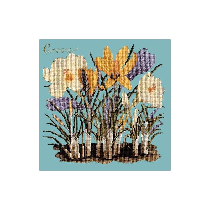 Elizabeth Bradley, Botanical Garden, CROCUS - 16x16 pollici Elizabeth Bradley - 15 Elizabeth Bradley, Botanical Garden, CROCUS - 16x16 pollici Elizabeth Bradley - 15