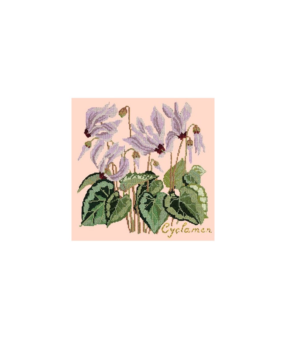 Elizabeth Bradley, Botanical Garden, CYCLAMEN - 16x16 pollici Elizabeth Bradley - 3