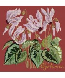 Elizabeth Bradley, Botanical Garden, CYCLAMEN - 16x16 pollici Elizabeth Bradley - 5