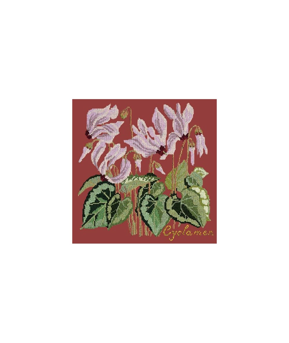 Elizabeth Bradley, Botanical Garden, CYCLAMEN - 16x16 pollici Elizabeth Bradley - 5