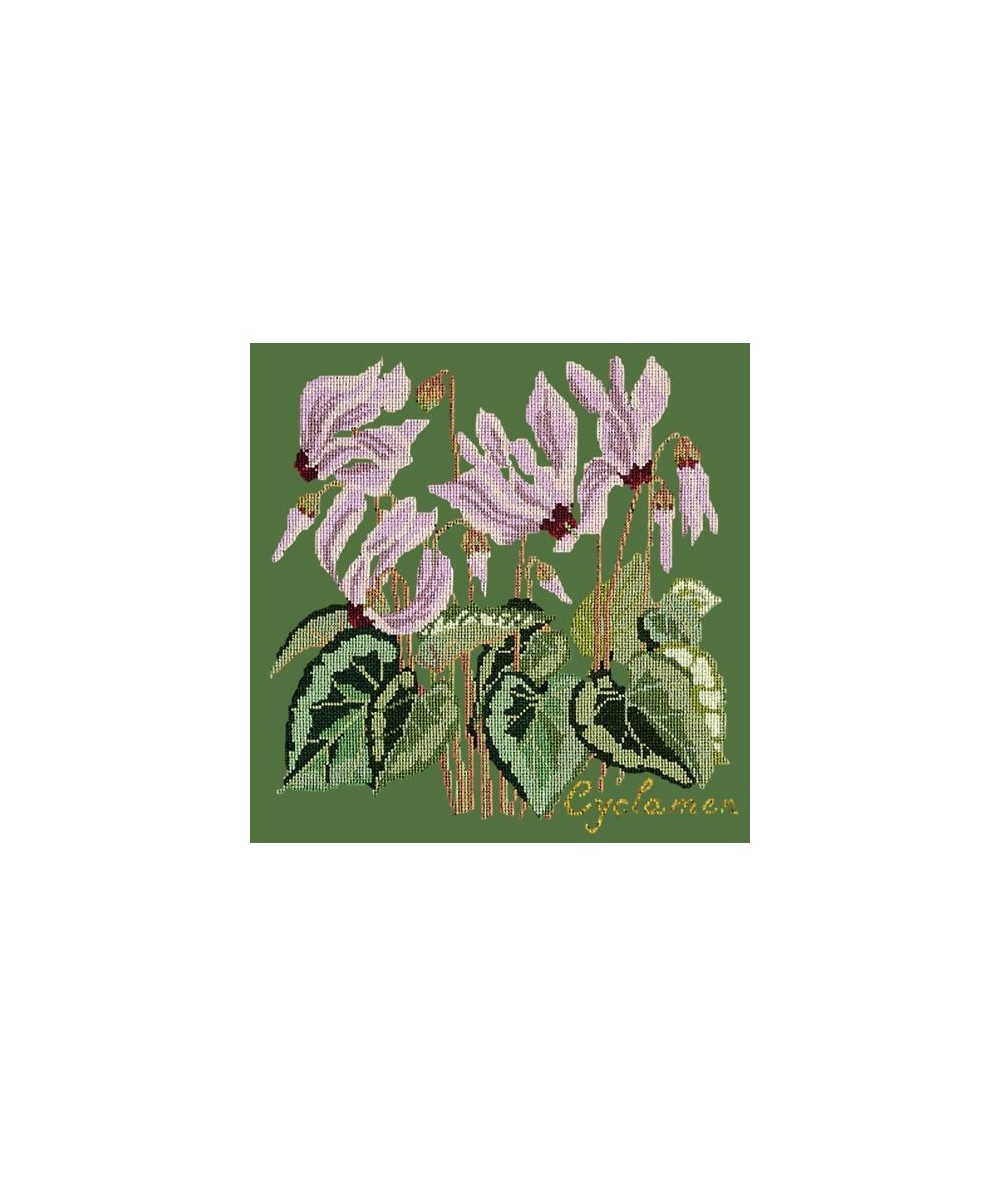 Elizabeth Bradley, Botanical Garden, CYCLAMEN - 16x16 pollici Elizabeth Bradley - 6