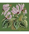Elizabeth Bradley, Botanical Garden, CYCLAMEN - 16x16 pollici Elizabeth Bradley - 6