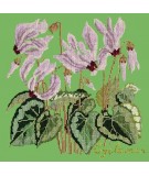 Elizabeth Bradley, Botanical Garden, CYCLAMEN - 16x16 pollici Elizabeth Bradley - 7