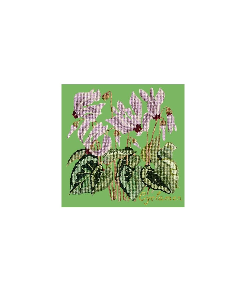 Elizabeth Bradley, Botanical Garden, CYCLAMEN - 16x16 pollici Elizabeth Bradley - 7