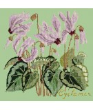Elizabeth Bradley, Botanical Garden, CYCLAMEN - 16x16 pollici Elizabeth Bradley - 9