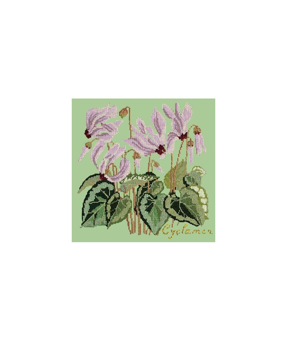 Elizabeth Bradley, Botanical Garden, CYCLAMEN - 16x16 pollici Elizabeth Bradley - 9