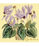 Elizabeth Bradley, Botanical Garden, CYCLAMEN - 16x16 pollici Elizabeth Bradley - 10