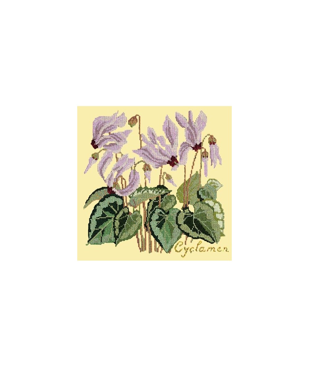Elizabeth Bradley, Botanical Garden, CYCLAMEN - 16x16 pollici Elizabeth Bradley - 10