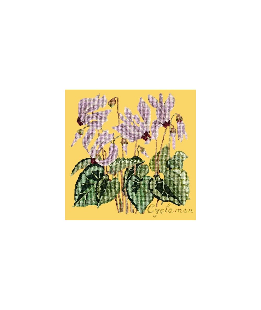 Elizabeth Bradley, Botanical Garden, CYCLAMEN - 16x16 pollici Elizabeth Bradley - 11