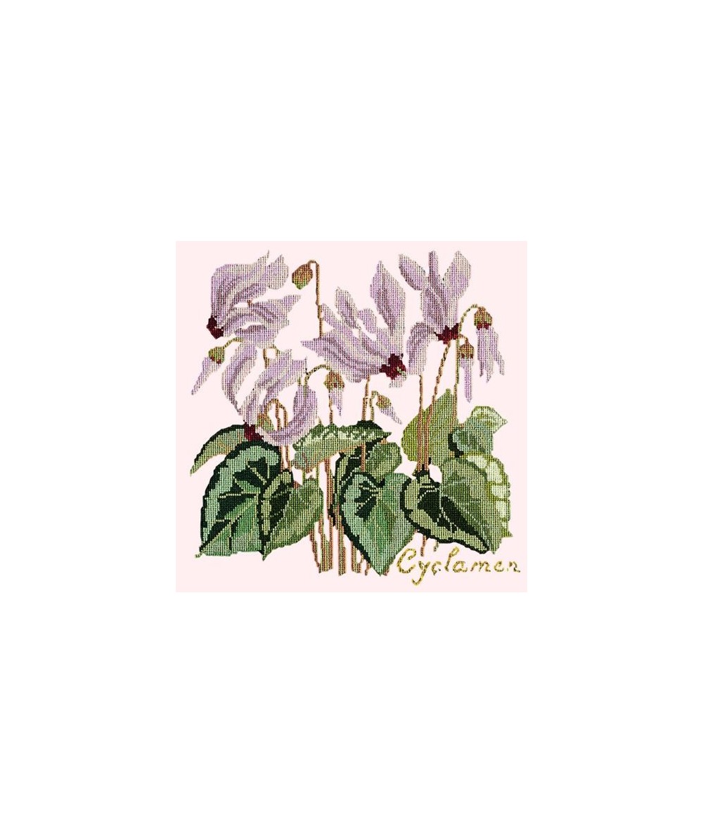 Elizabeth Bradley, Botanical Garden, CYCLAMEN - 16x16 pollici Elizabeth Bradley - 12
