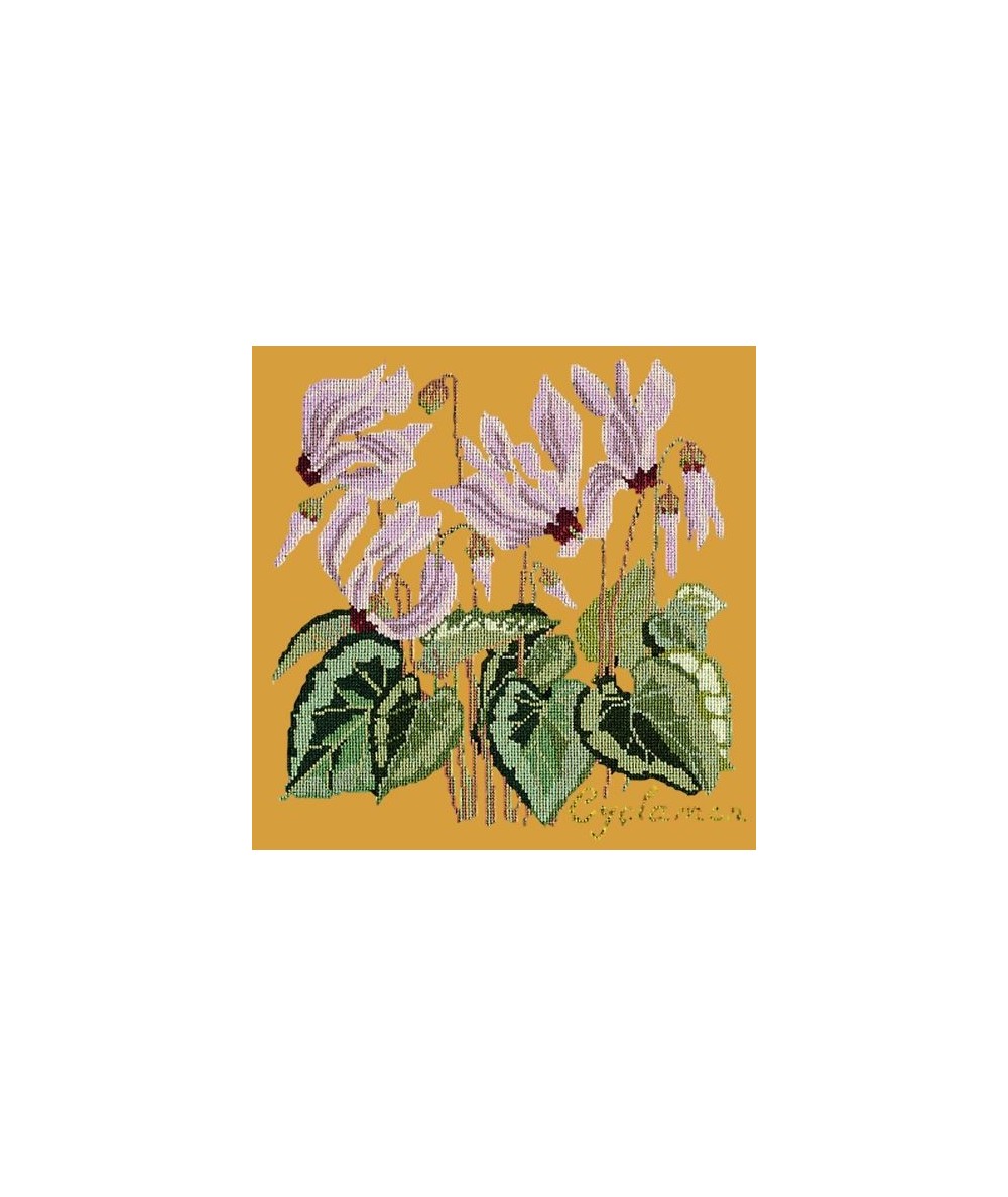 Elizabeth Bradley, Botanical Garden, CYCLAMEN - 16x16 pollici Elizabeth Bradley - 13