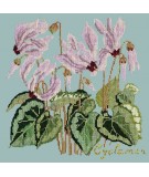 Elizabeth Bradley, Botanical Garden, CYCLAMEN - 16x16 pollici Elizabeth Bradley - 14