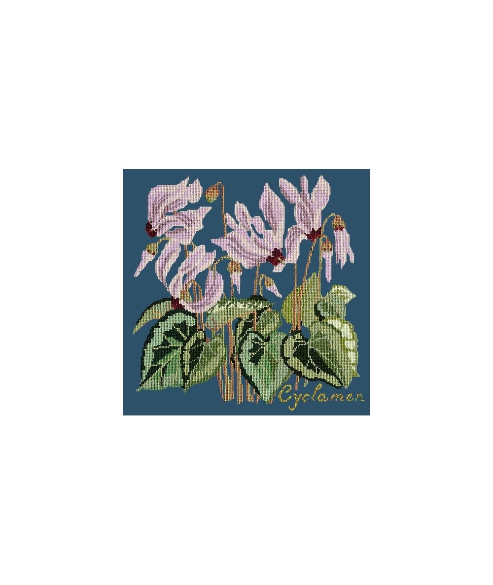 Elizabeth Bradley, Botanical Garden, CYCLAMEN - 16x16 pollici Elizabeth Bradley - 16