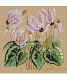 Elizabeth Bradley, Botanical Garden, CYCLAMEN - 16x16 pollici Elizabeth Bradley - 17